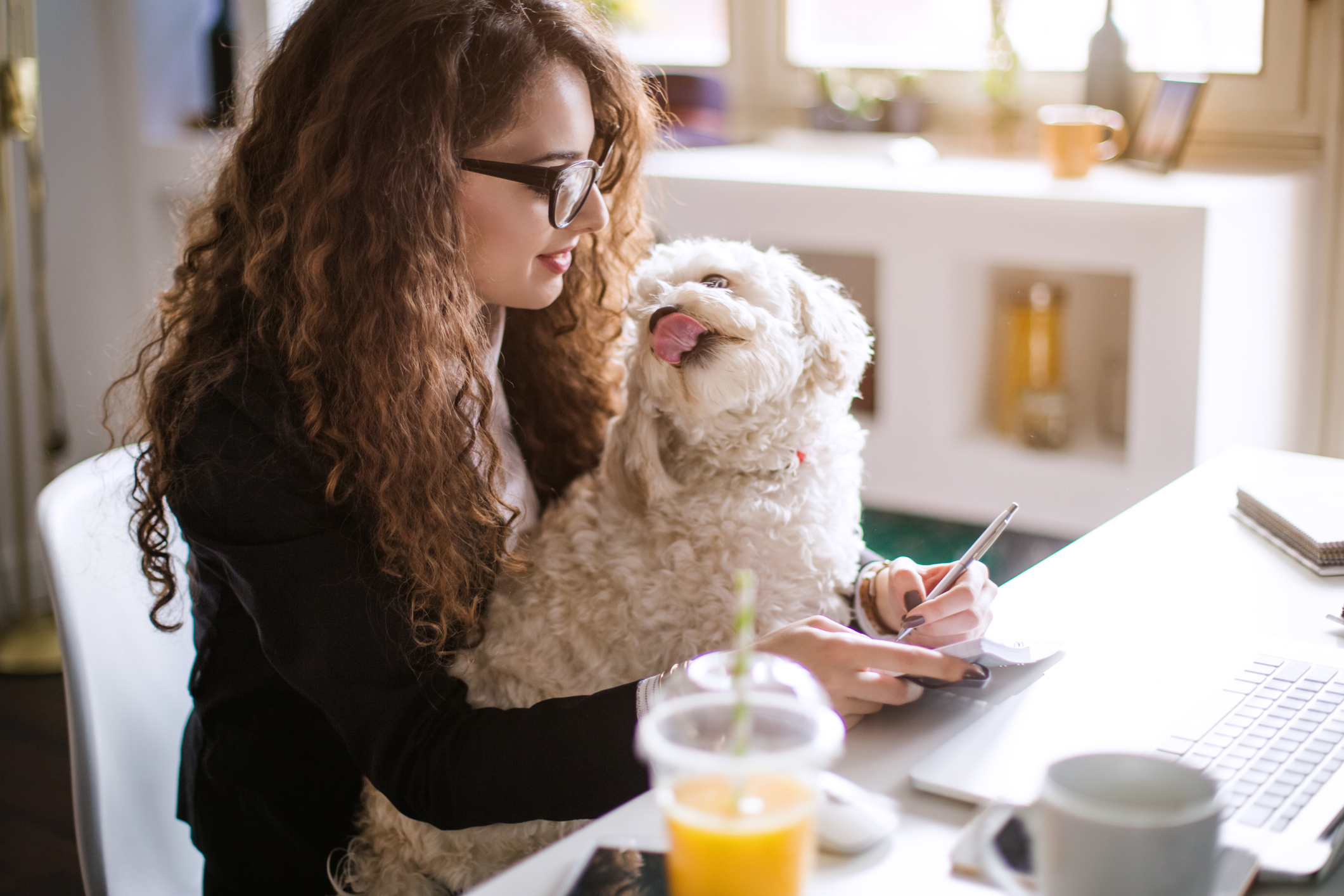 working and holding her dog in her lap.