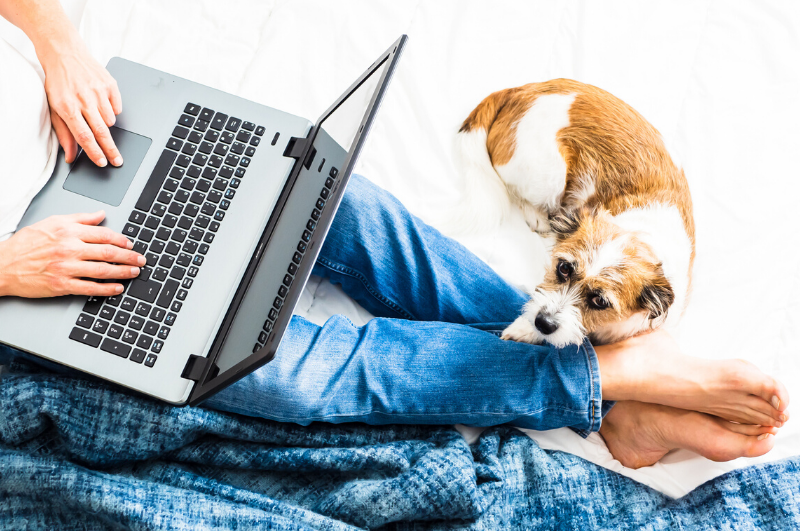 man working in bed with dog